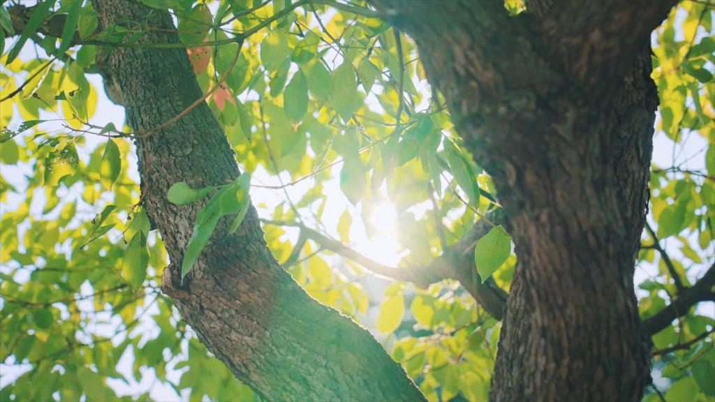 yl23455����(CHINA)���޹�˾����