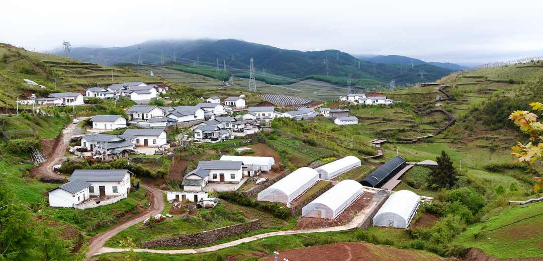 yl23455����(CHINA)���޹�˾����