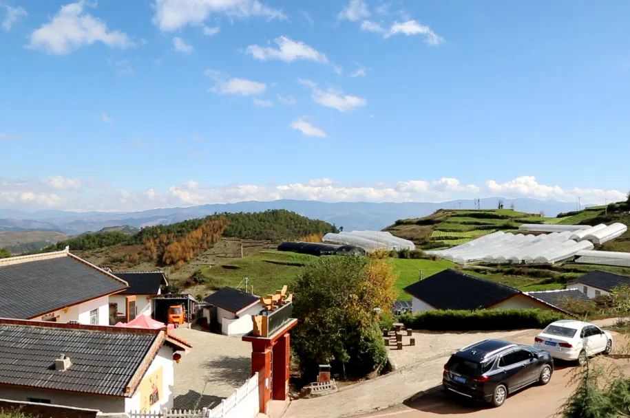 yl23455����(CHINA)���޹�˾����