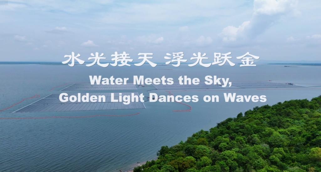 yl23455����(CHINA)���޹�˾����