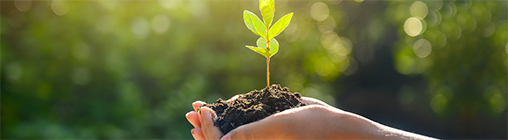 yl23455����(CHINA)���޹�˾����